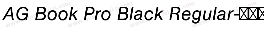 AG Book Pro Black Regular字体转换